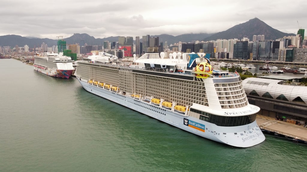 Cruises were banned earlier this year as Hong Kong fought a ferocious fifth Covid-19 wave. Photo: Martin Chan