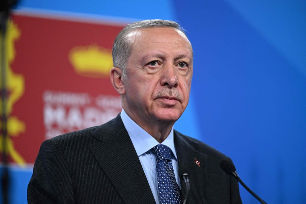 Türkiye’s President Recep Tayyip Erdoğan. Photo: AFP