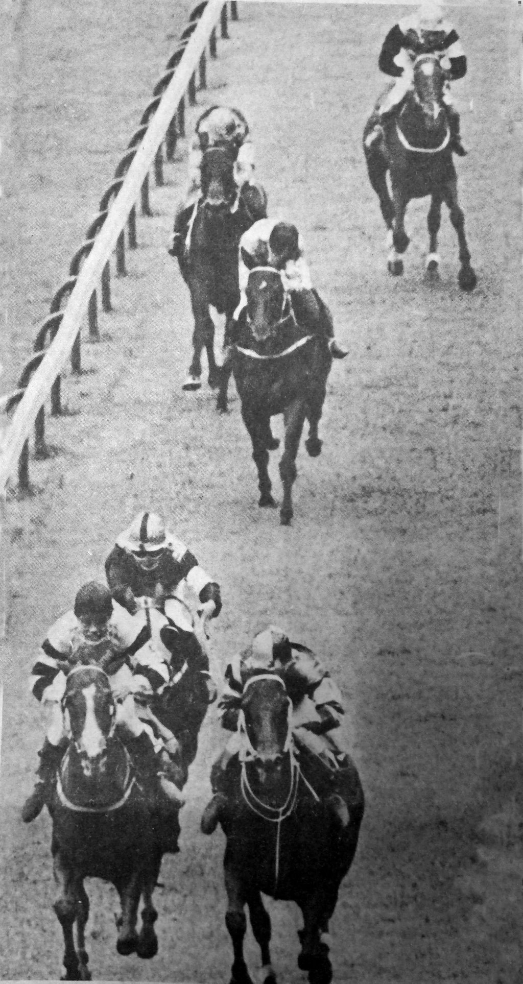 Race favourite Film Boy (front centre) leads Pearl River (left) in the third race at Happy Valley at the first professional racing day in Hong Kong’s racing history, in March 1971. Photo: SCMP