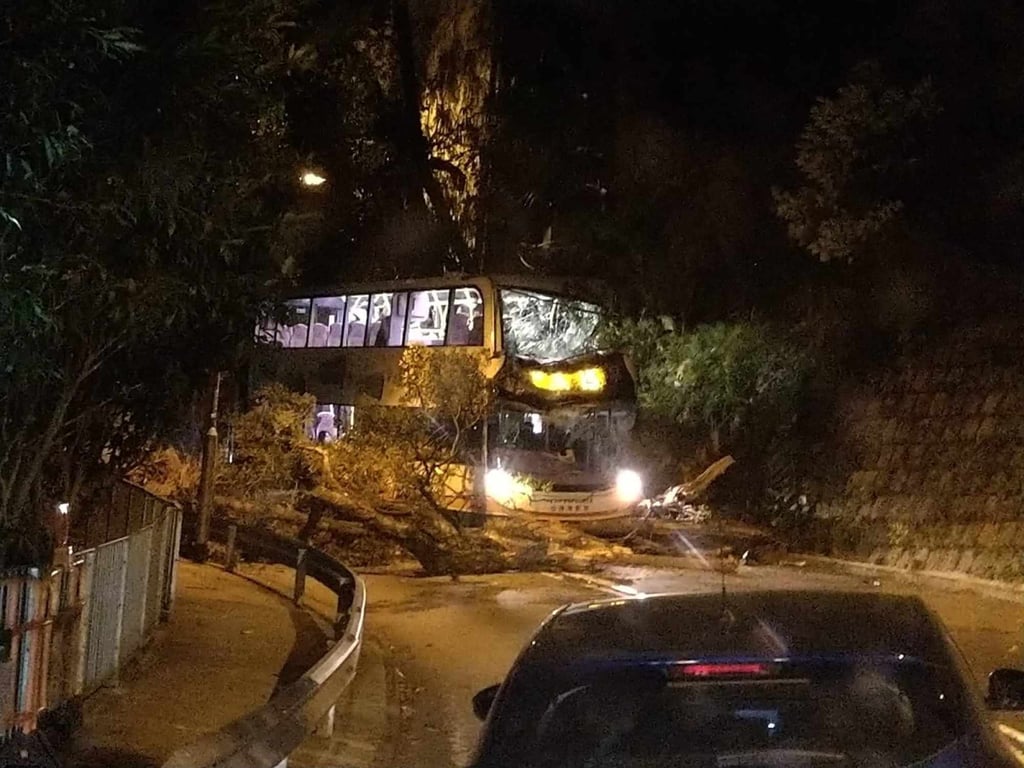 The scene after a tree fell on a bus on The Peak on Monday evening. Photo: Facebook The scene after a tree fell on a bus on The Peak on Monday evening. Photo: Facebook
