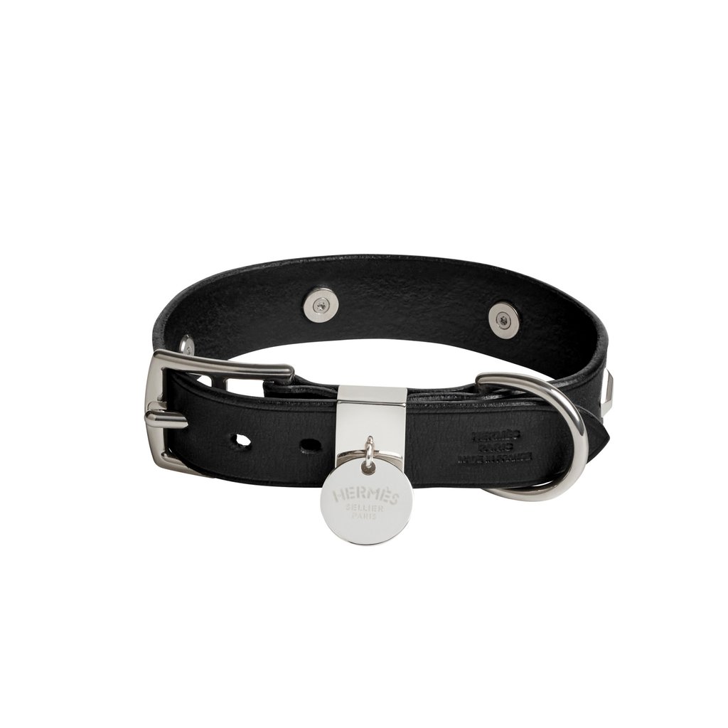 Cartier dog collar hot sale