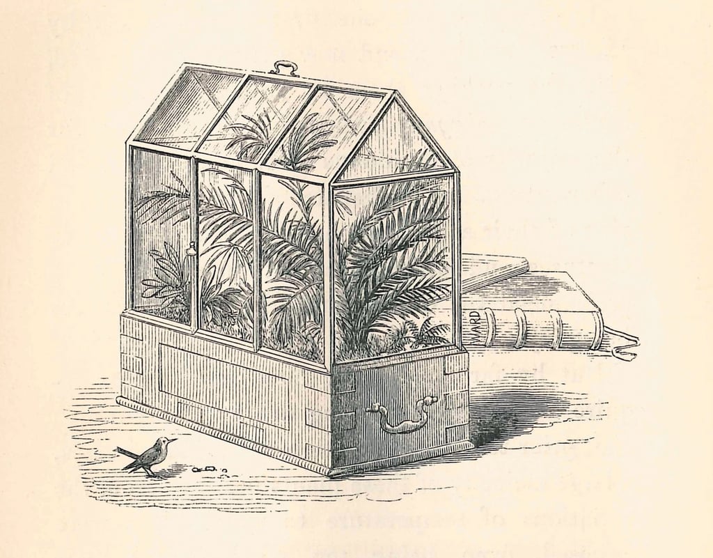 Ward’s case for moving plants on long sea voyages. Photo Harvard University