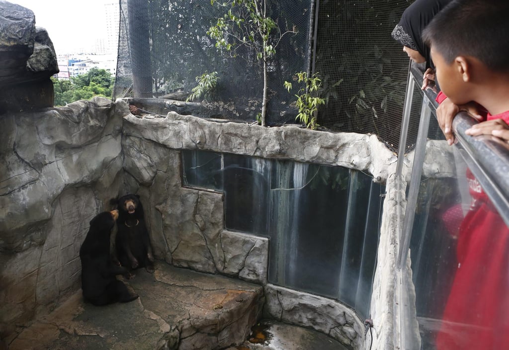 Tourists look in at the high-rise rooftop cage of two brown bears at Pata zoo, situated on the top floor of a shopping centre in Bangkok. Photo: EPA