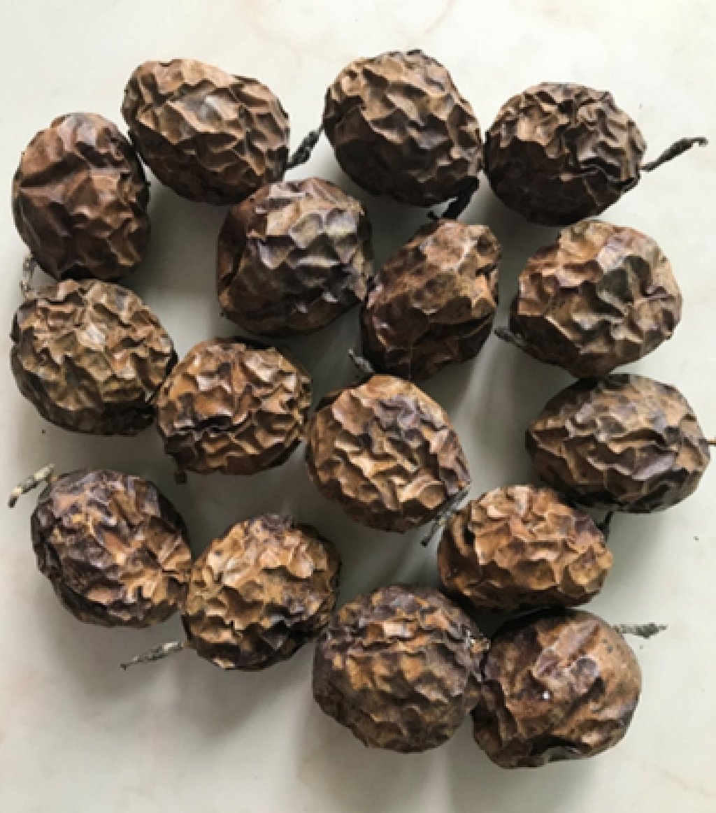 The scientists got their idea from passion fruit that were left at the office. Photo: Feng Xiqiao, Xu Fan The scientists got their idea from passion fruit that were left at the office. Photo: Feng Xiqiao, Xu Fan