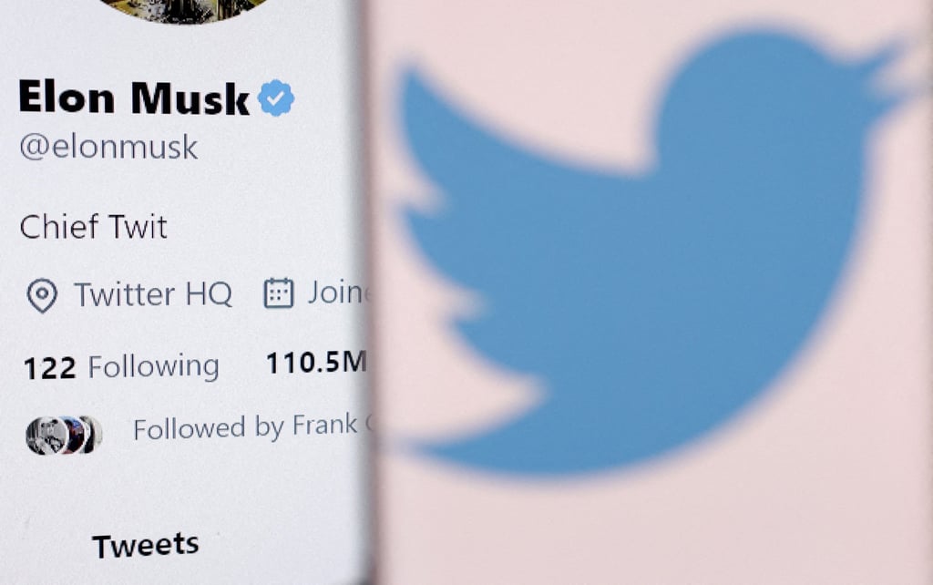 Elon Musk’s account and the Twitter logo. Photo: Reuters