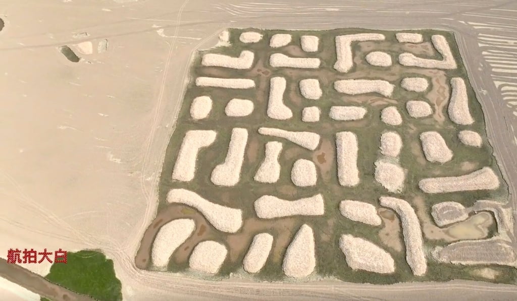 An official from the East Dongting Lake Management Committee dismissed the possibility of ancient tombs or aliens and says the area has always been underwater until recently. Photo: Douyin