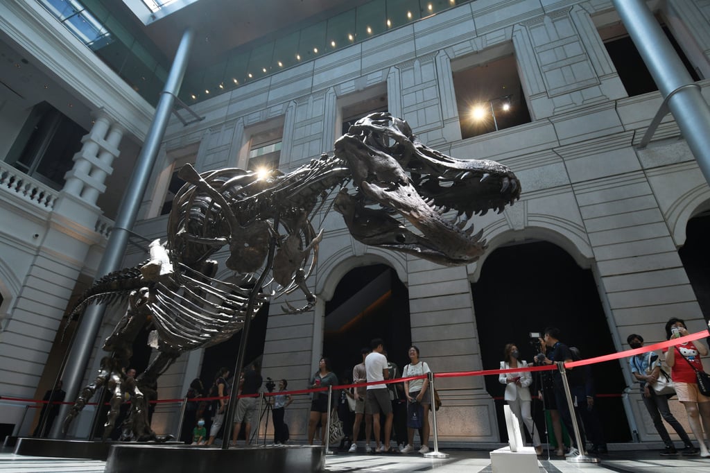 Visitors look at the skeleton of a Tyrannosaurus rex named ‘Shen’ at the Victoria Theatre and Concert Hall in Singapore, where it was displayed ahead of its planned auction in Hong Kong. Photo: Xinhua