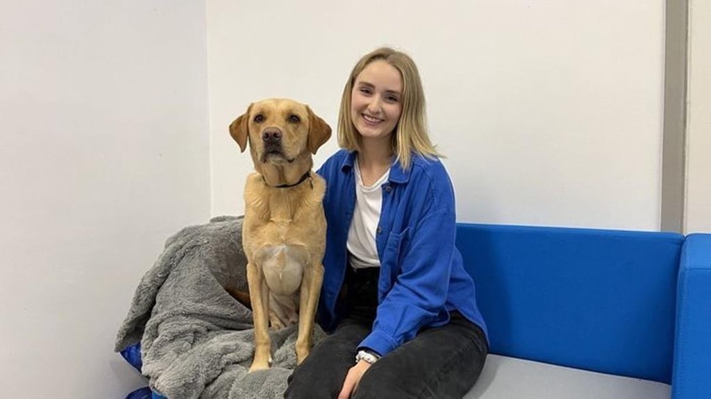 Animal psychologist Dr Clara Wilson with sniffer dog Leon. Photo: Queen’s University Belfast Animal psychologist Dr Clara Wilson with sniffer dog Leon. Photo: Queen’s University Belfast