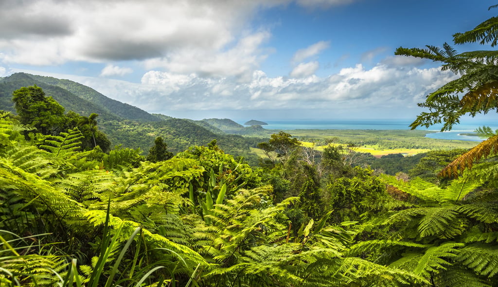 Daintree Rainforest with the Great Barrier Reef in the background. Photo: Shutterstock