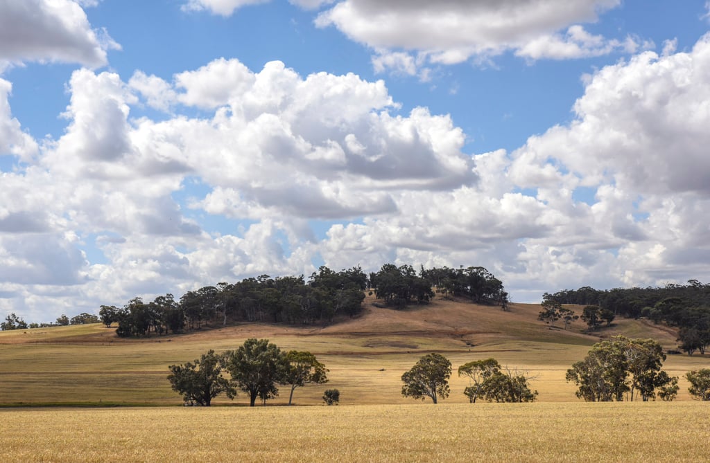 Rolling hills and patches of pristine forest make up Western Australia’s Dryandra Woodland National Park. Photo: Ronan O’Connell
