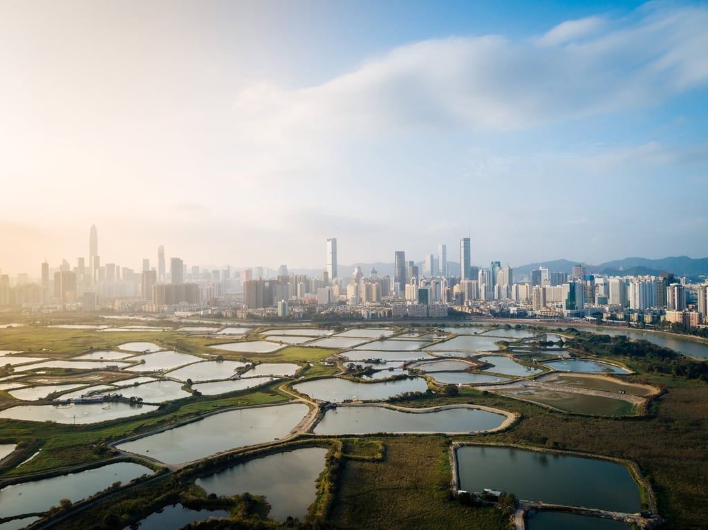 China’s southern city of Shenzhen forms part of the Greater Bay Area development zone – a plan to create an integrated economic and business hub linking it with Hong Kong, Macau, Guangzhou and seven other Chinese cities. Photo: Shutterstock