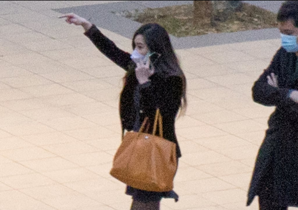 Insurance agent Yuki Wong leaves Tuen Mun Court after being convicted of animal cruelty in February. Photo: Brian Wong Insurance agent Yuki Wong leaves Tuen Mun Court after being convicted of animal cruelty in February. Photo: Brian Wong