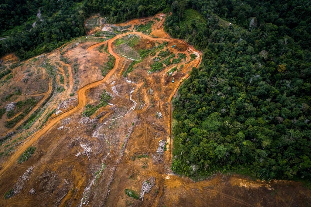 This handout picture from the Sumatran Orangutan Conservation Programme taken on August 20, 2018 shows an aerial view of land cleared as a staging area for the building of a new hydroelectric dam in the Batang Toru rainforest, the only known habitat of the Tapanuli orangutan, on Sumatra island. Photo: AFP This handout picture from the Sumatran Orangutan Conservation Programme taken on August 20, 2018 shows an aerial view of land cleared as a staging area for the building of a new hydroelectric dam in the Batang Toru rainforest, the only known habitat of the Tapanuli orangutan, on Sumatra island. Photo: AFP