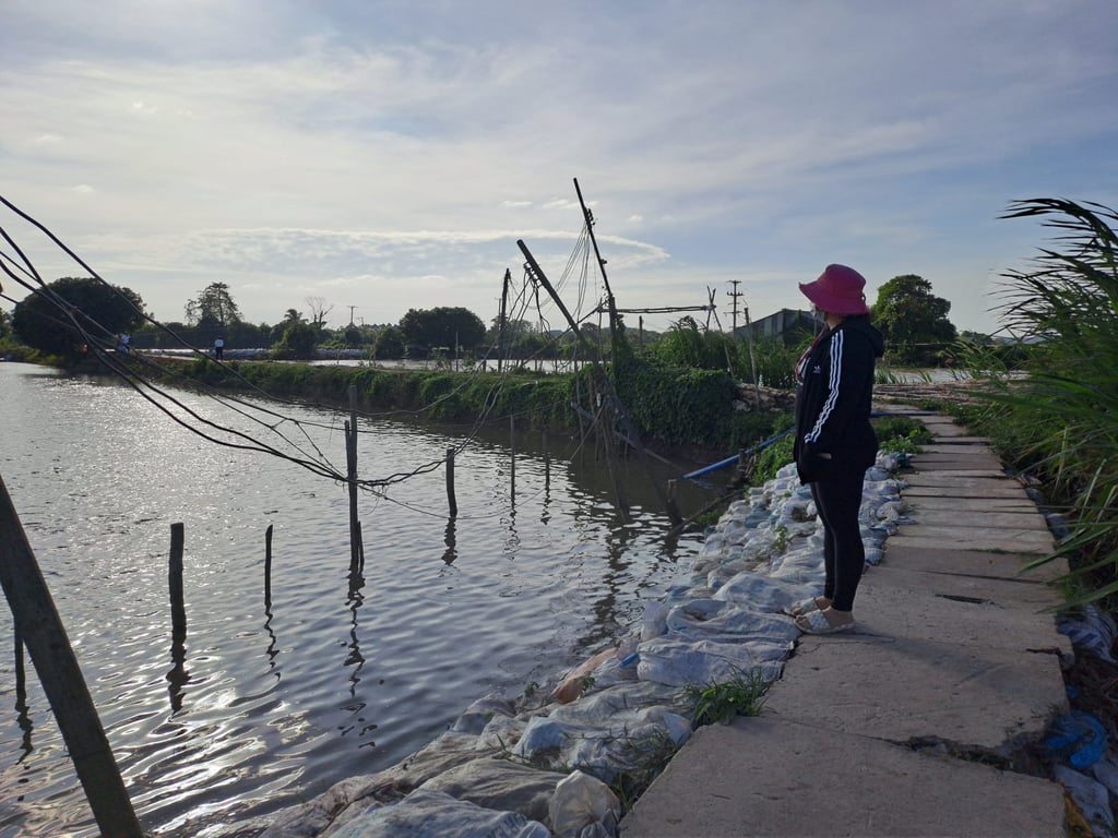 Ho Thi Bich Tuyen stands atop a sandbag wall looking out over one of her fish ponds, with the Hau River at her back. Photo: Sen Nguyen Ho Thi Bich Tuyen stands atop a sandbag wall looking out over one of her fish ponds, with the Hau River at her back. Photo: Sen Nguyen