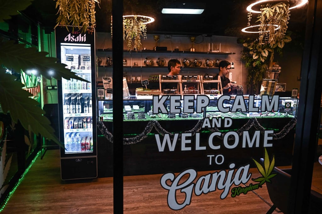 A cannabis dispensary in Bangkok. Photo: AFP A cannabis dispensary in Bangkok. Photo: AFP