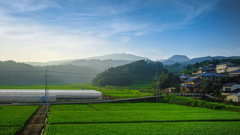 Agriculture village in Saga. While many urban residents are drawn to a more laid-back way of life in the Japanese countryside, most say it remains something of a pipe dream for retirement. Photo: Getty Images