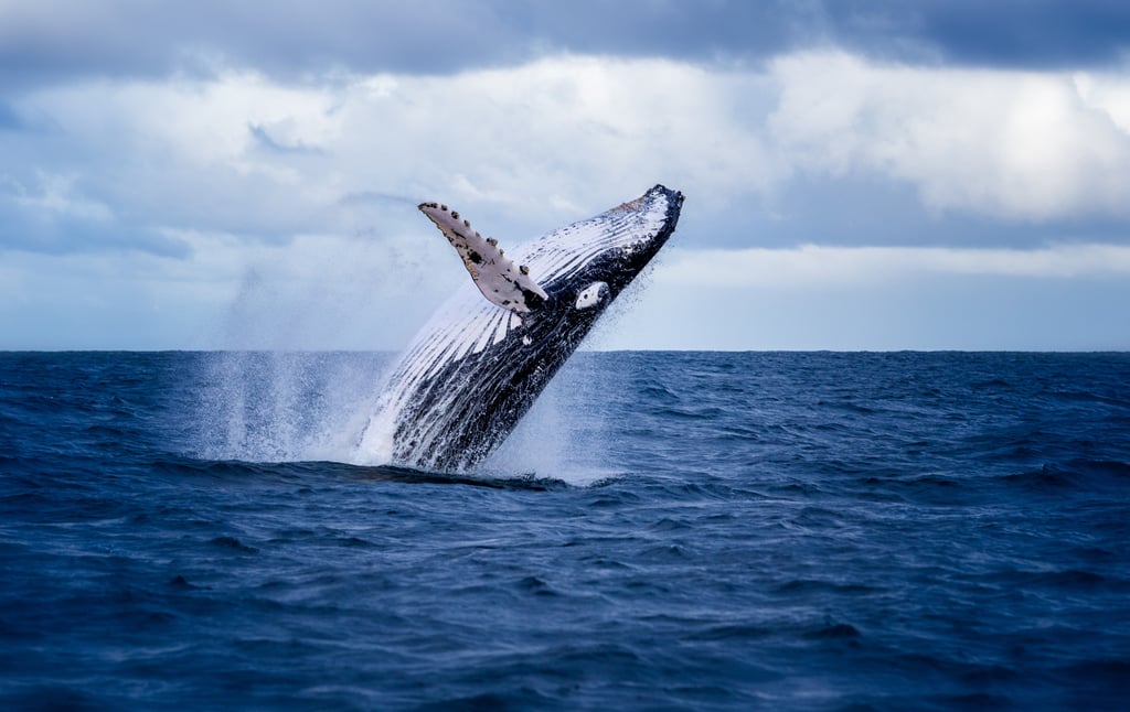Microplastics particles pose a threat to marine life, in being easy to ingest. They also harm marine plants and affect the food chain. Photo: Shutterstock Microplastics particles pose a threat to marine life, in being easy to ingest. They also harm marine plants and affect the food chain. Photo: Shutterstock