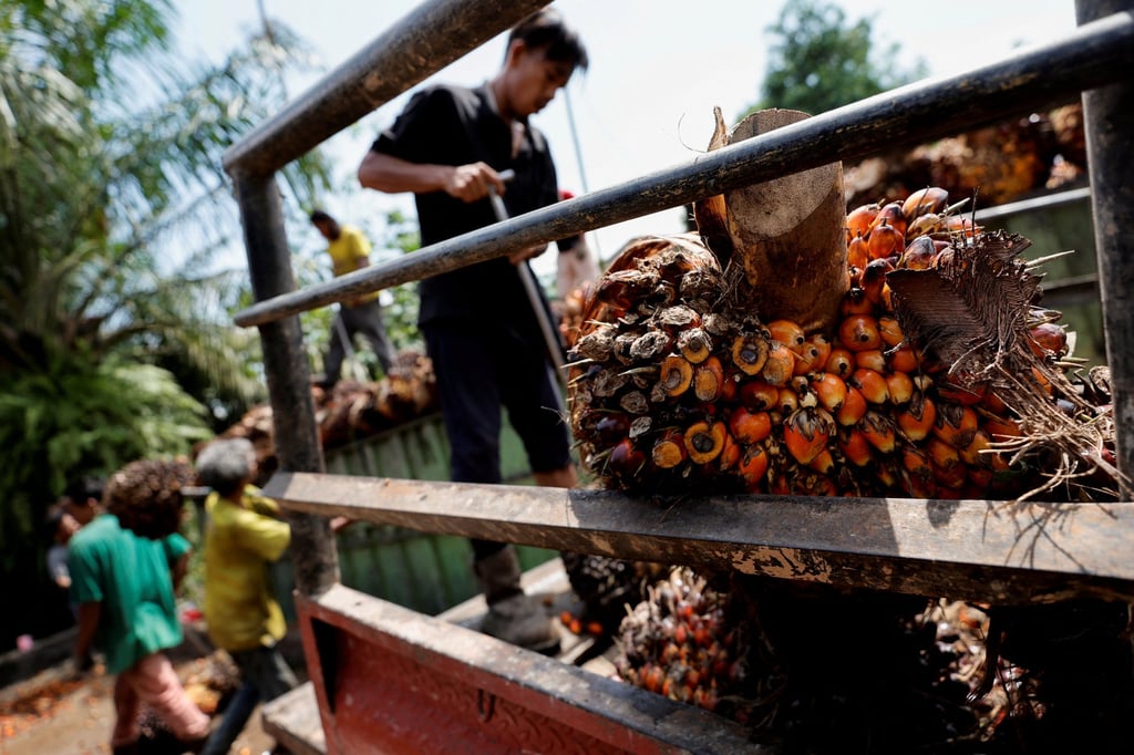 Workers load palm oil fruit bunches to be transported to factories in Pekanbaru, Riau province, Indonesia in April 2022. Photo: Reuters Workers load palm oil fruit bunches to be transported to factories in Pekanbaru, Riau province, Indonesia in April 2022. Photo: Reuters