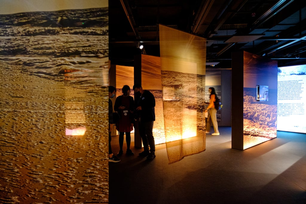 Visitors view exhibits in the “Amber; Baltic Gold’ exhibition. Photo: Connor Mycroft