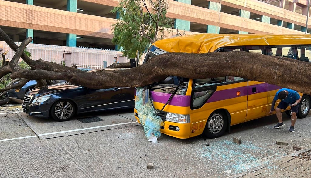 A 9.5-metre flame tree collapsed on a parked school bus in Ho Man Tin in September last year. Photo: Facebook A 9.5-metre flame tree collapsed on a parked school bus in Ho Man Tin in September last year. Photo: Facebook