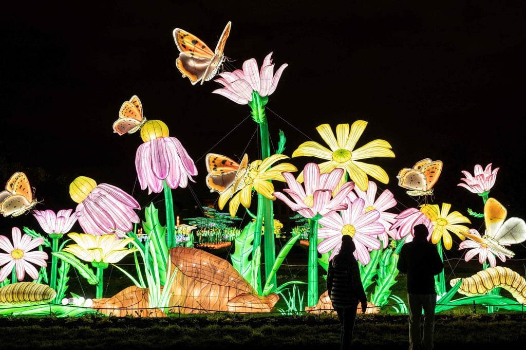 The Jardin des Plantes in Paris hosts a Fete des Lumieres exhibition (pictured) as well as a gorgeous old-fashioned Dodo Manège carousel. Photo: AFP