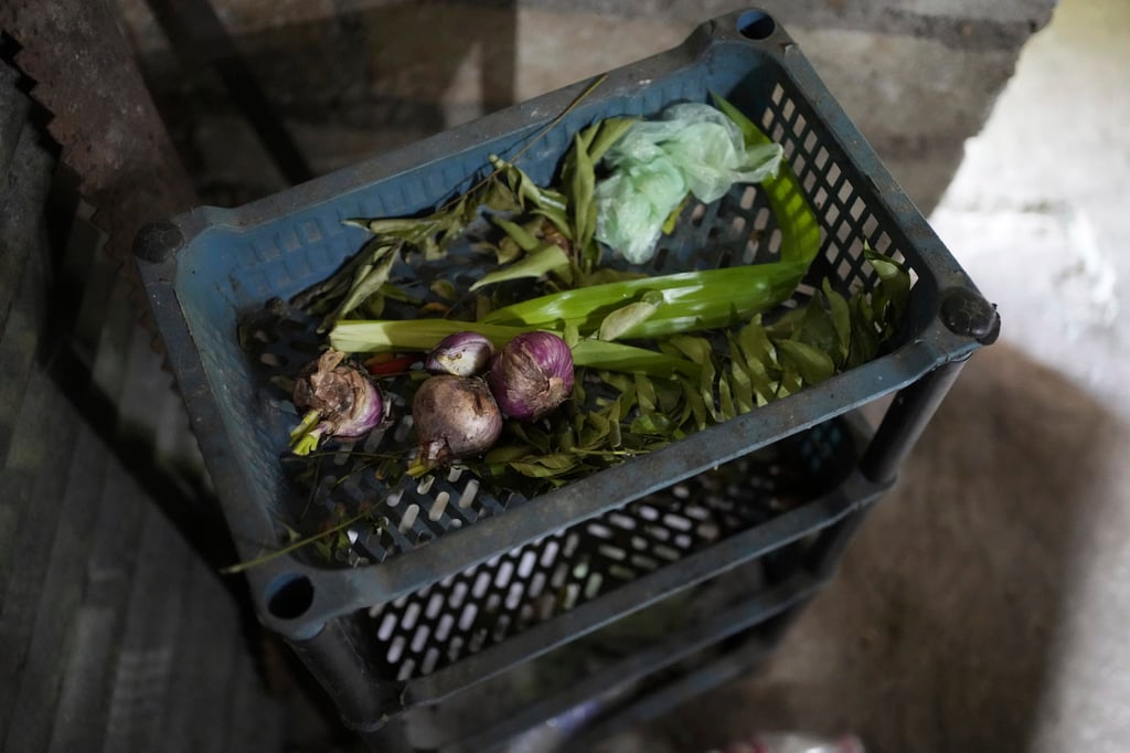 Sri Lanka has been grappling with food inflation and skyrocketing prices. Photo: AP