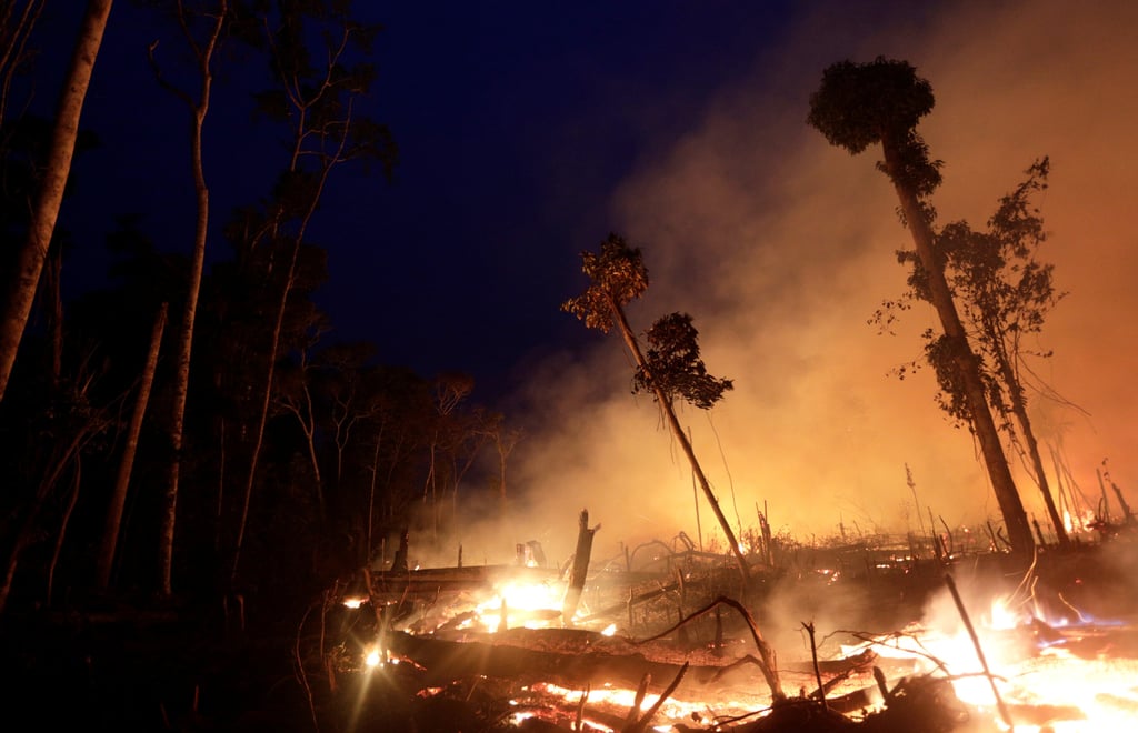 A fire burns part of Amazon jungle in Rondonia state, Brazil. Photo: Reuters/File