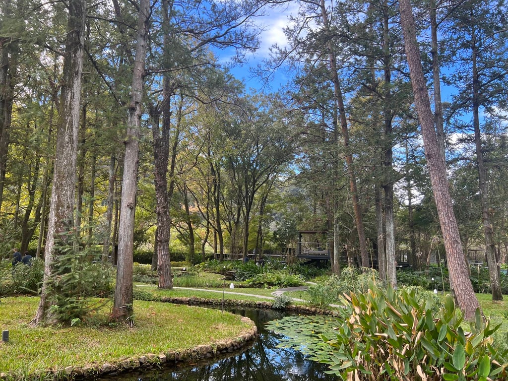 The gardens at Hoshinoya Guguan. Photo: Mavis Teo The gardens at Hoshinoya Guguan. Photo: Mavis Teo