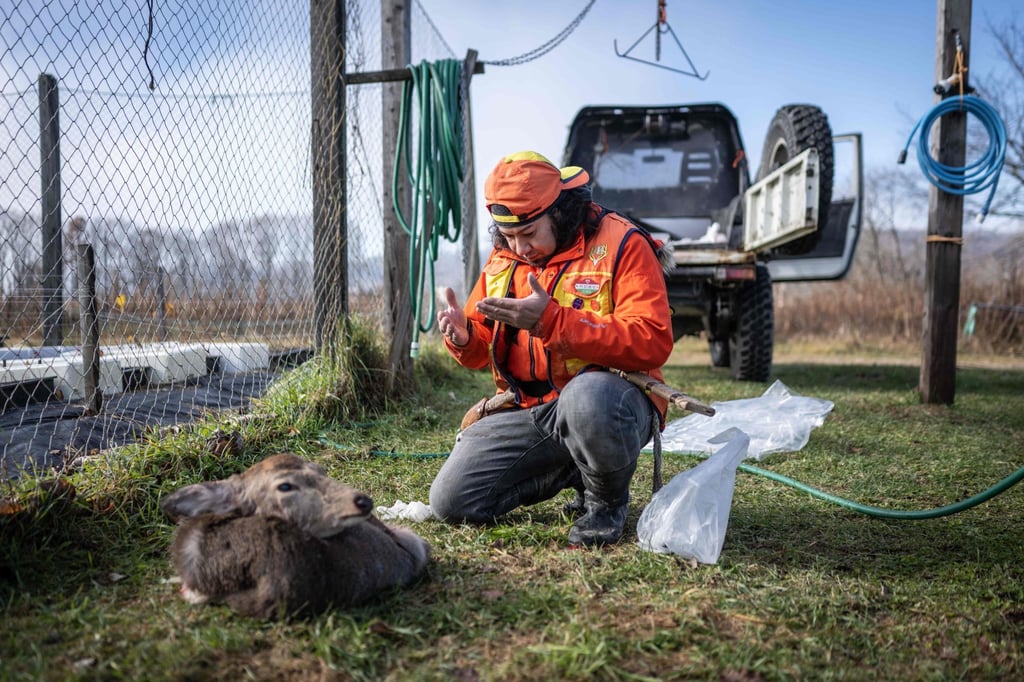 Atsushi Monbetsu of the Ainu indigenous group prays in front of the fur and head of a deer he hunted in a forest in Biratori, in northern Japan’s Hokkaido. Photo: AFP