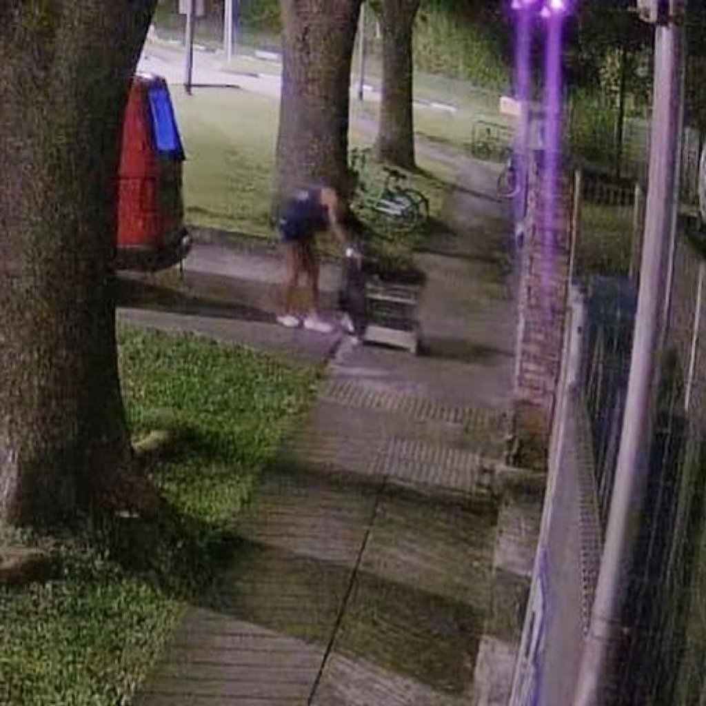 A screengrab from CCTV footage shows a cat being abandoned outside the main gate of the SPCA in Singapore. Photo: Facebook/SPCASingapore A screengrab from CCTV footage shows a cat being abandoned outside the main gate of the SPCA in Singapore. Photo: Facebook/SPCASingapore