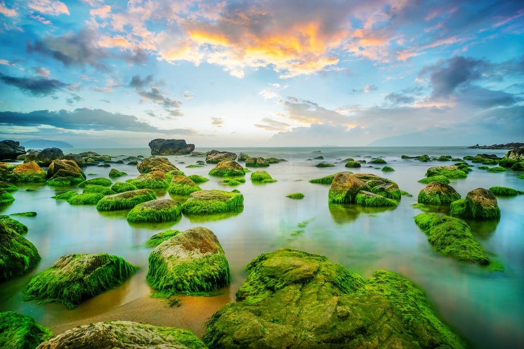 Green sea moss on rocks at Nam O Beach. Photo: Getty Images