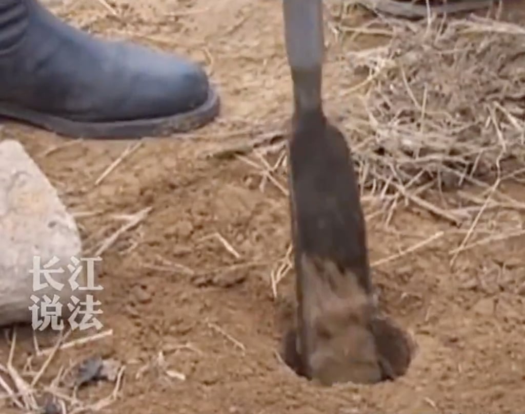 A metal spade is used to break the earth at the scared burial site in Guizhou province. Photo: Duoyin A metal spade is used to break the earth at the scared burial site in Guizhou province. Photo: Duoyin
