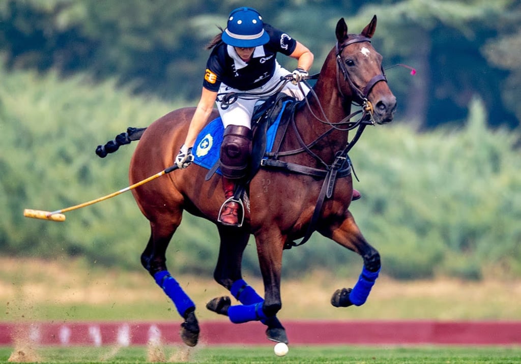 Hong Kong is home to its fair share of aspiring polo people, evidenced at the Beginners Cup. Photo: Handout