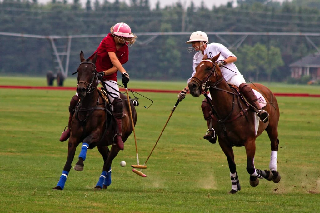 Player polo best sale