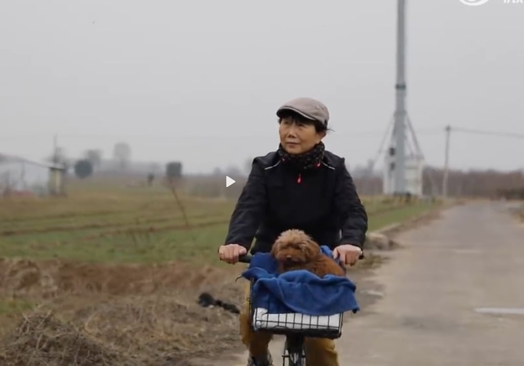 The woman, who cycled with her trusty dog, Xili, says life on the road left her with “no hate”. Photo: Weibo The woman, who cycled with her trusty dog, Xili, says life on the road left her with “no hate”. Photo: Weibo