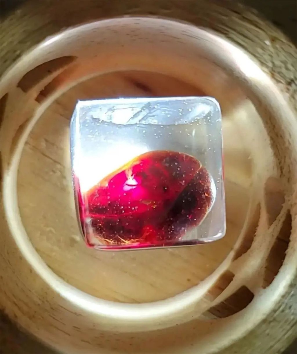 The tiny boiled chicken egg is small enough to fit inside an ice cube and turns into a “ruby” when held up to the light. Photo: Thepaper
