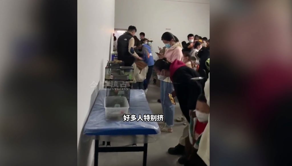 Something fishy: visitors discover that the “oceanarium” they were promised is not what they were led to believe. Photo: Douyin Something fishy: visitors discover that the “oceanarium” they were promised is not what they were led to believe. Photo: Douyin