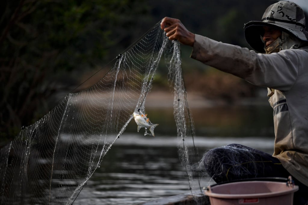 A fisherman checks his net for catch along the Mekong River in the northeastern Thai province of Nong Khai. Photo: AFP