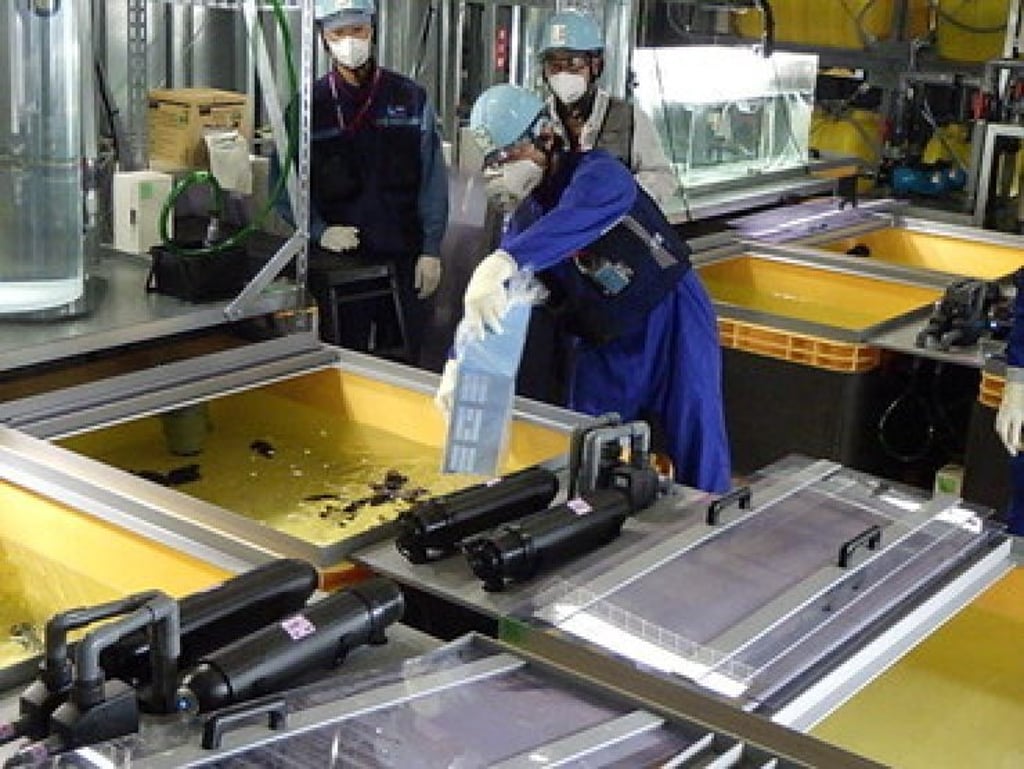 Flounders are reared in the ALPS-treated water to demonstrate the safety of the water. Photo: TEPCO Flounders are reared in the ALPS-treated water to demonstrate the safety of the water. Photo: TEPCO