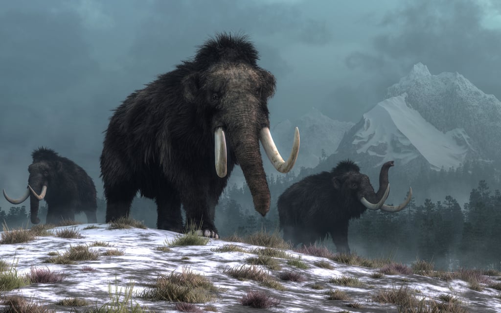 An illustration depicts a trio of woolly mammoths trudging over snow covered hills. Image: Shutterstock An illustration depicts a trio of woolly mammoths trudging over snow covered hills. Image: Shutterstock
