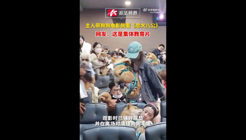 Scores of dogs and their owners attended the cinematic event in Shanghai. Photo: Weibo Scores of dogs and their owners attended the cinematic event in Shanghai. Photo: Weibo