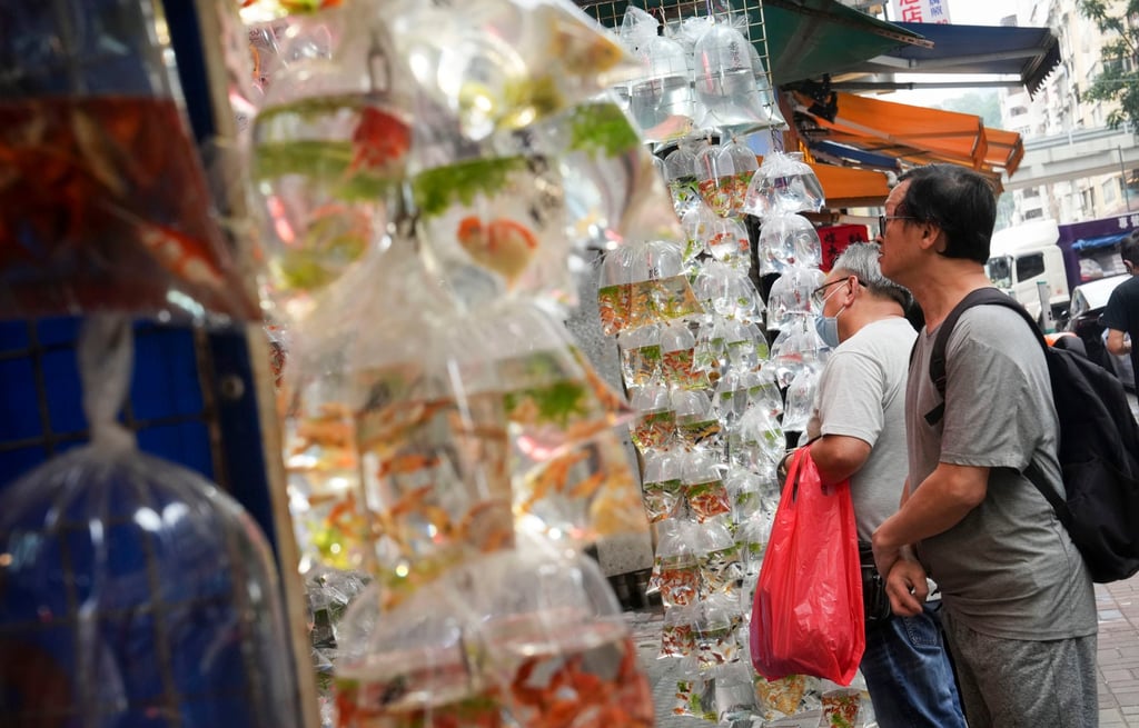 People look at the pet shops along Tong Choi Street. Photo: Elson Li