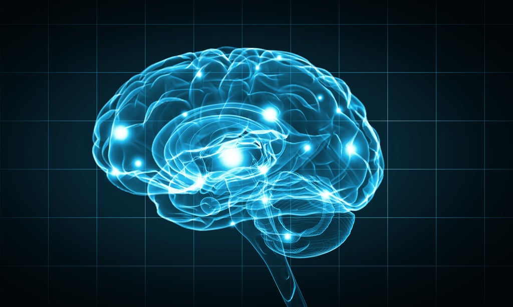 The interfaces can tell scientists more about how the brain works. Illustration: Shutterstock
