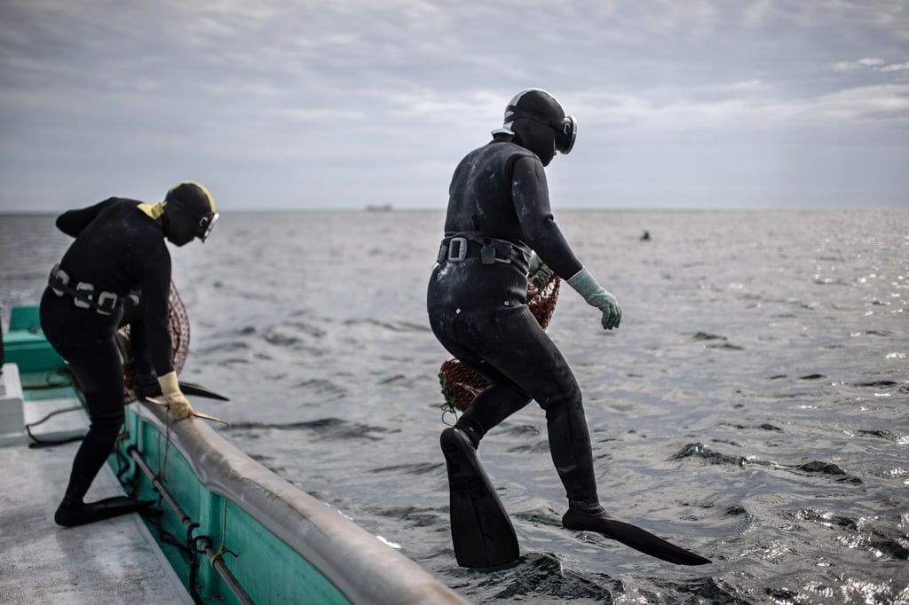 Ama diver numbers are declining from environmental deterioration caused by rising seawater temperatures, which reduce catches. The resulting low incomes make it exceedingly difficult to sustain a living. Photo: AFP Ama diver numbers are declining from environmental deterioration caused by rising seawater temperatures, which reduce catches. The resulting low incomes make it exceedingly difficult to sustain a living. Photo: AFP