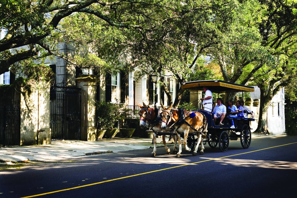 Adopting the local pace of life. Photo: Charleston Carriage Works