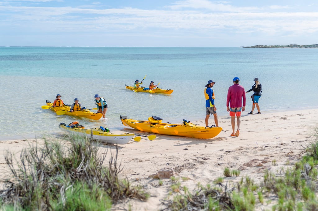 Tourists return from a sea kayaking tour of the Ningaloo Reef, with Exmouth Adventure. Photo: Tourism Western Australia Tourists return from a sea kayaking tour of the Ningaloo Reef, with Exmouth Adventure. Photo: Tourism Western Australia