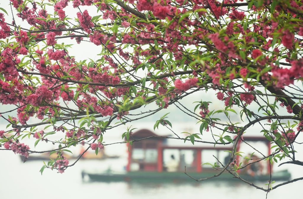 Tourist boats at the West Lake scenic area in Hangzhou, east China’s Zhejiang province. The city has signed several memorandums of understanding with Hong Kong on digital collaborations. Photo: Xinhua Tourist boats at the West Lake scenic area in Hangzhou, east China’s Zhejiang province. The city has signed several memorandums of understanding with Hong Kong on digital collaborations. Photo: Xinhua