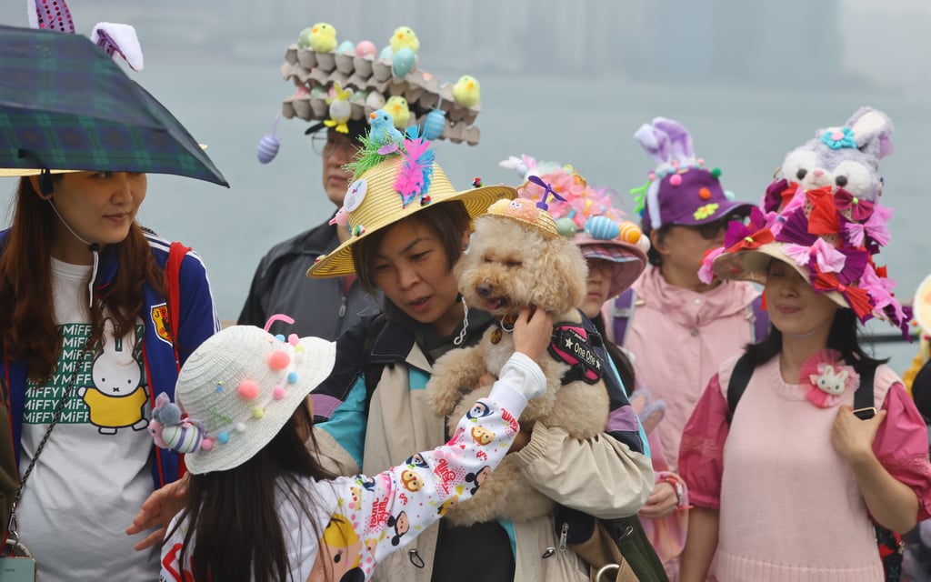 This pooch got a bit of extra love during the recent Easter Hat Parade at Victoria Harbour in Fortress Hill. Photo: Dickson Lee