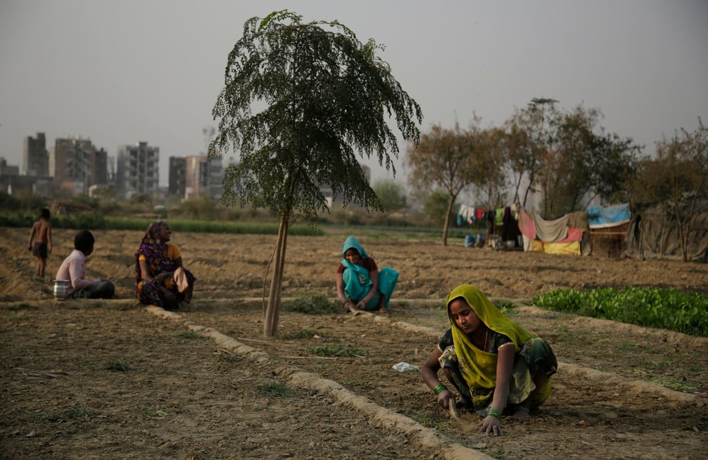 “By making agrifood systems work better for women, we can transform them to be more inclusive, more sustainable, more resilient,” expert says. “By making agrifood systems work better for women, we can transform them to be more inclusive, more sustainable, more resilient,” expert says.