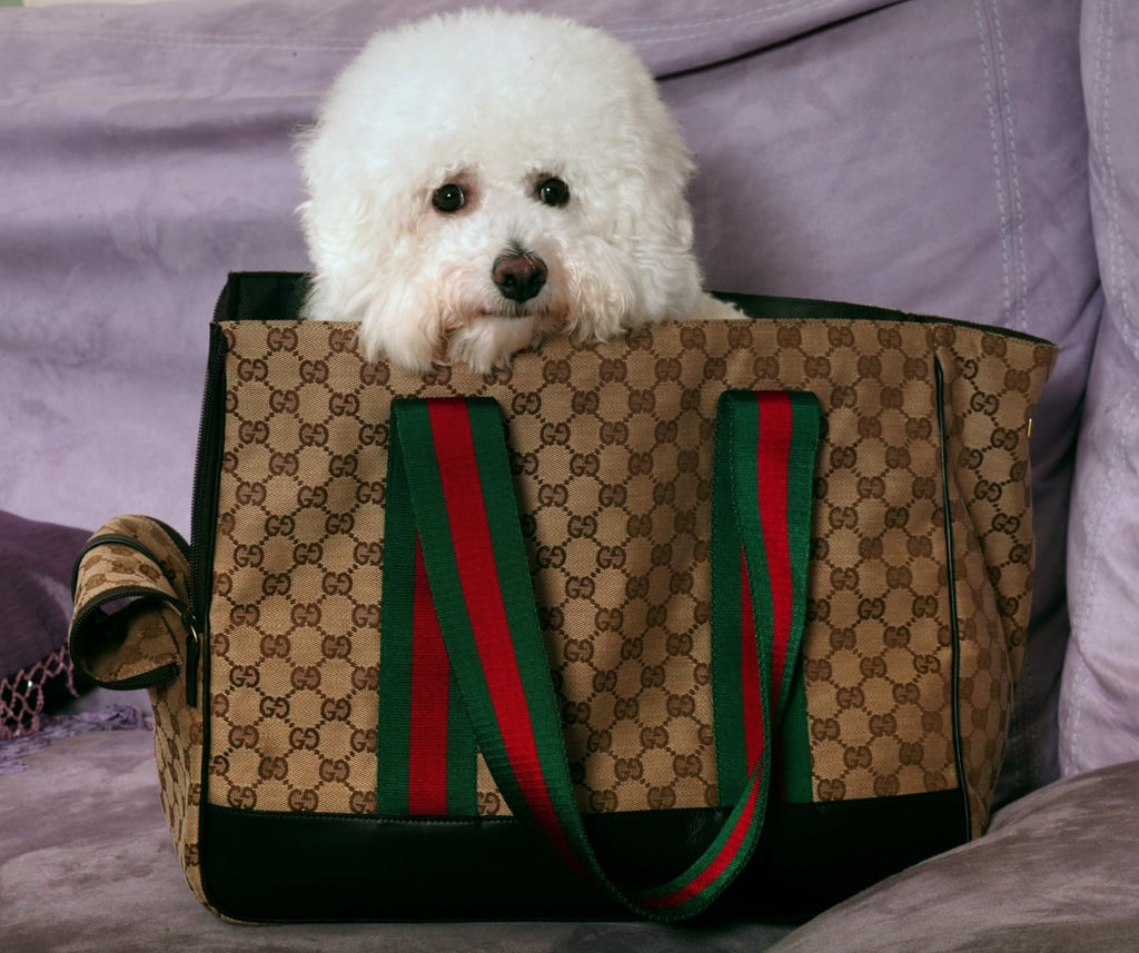 Designer dog carriers louis vuitton outlet